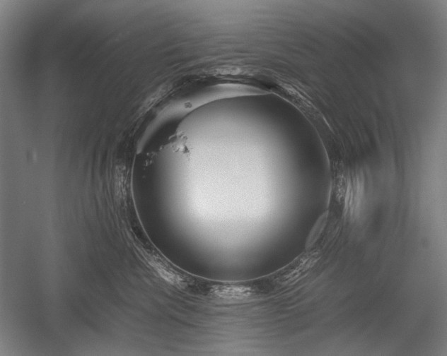 X0000052550476200507081614