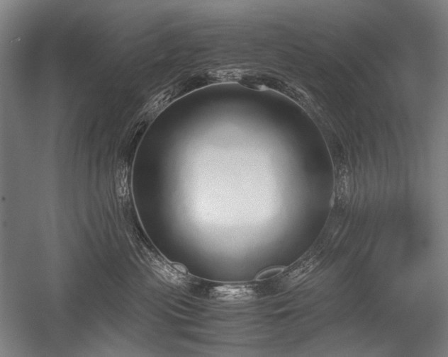 X0000052550477200507081614