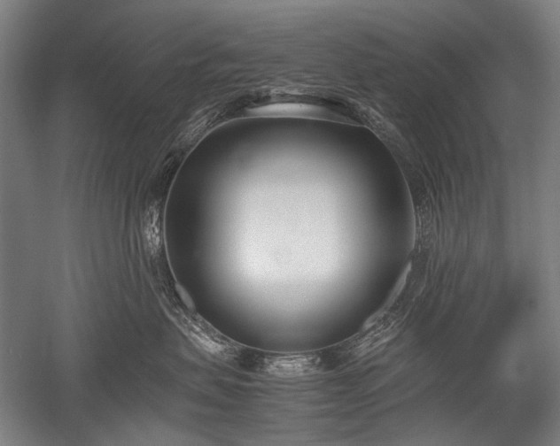 X0000052550479200507081614