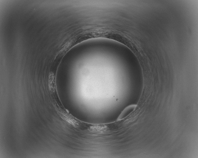 X0000052550480200507081614