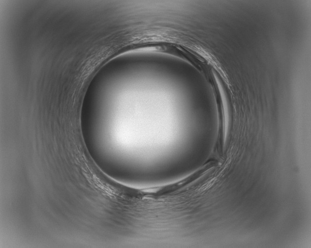 X0000052550481200507081613