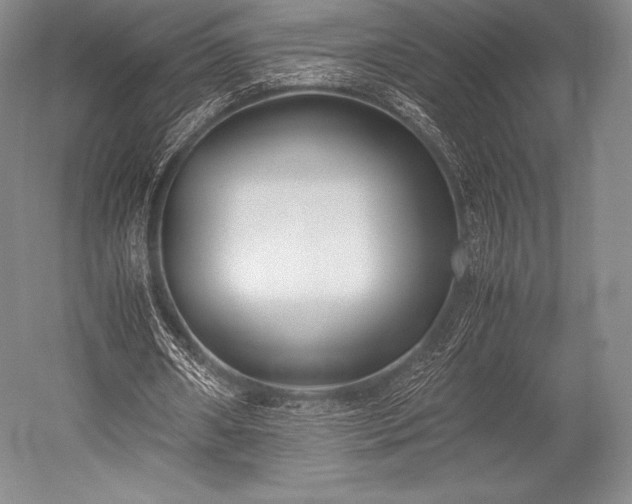 X0000052550482200507081613