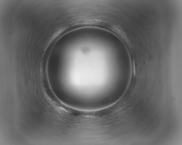 X0000052550483200507081613