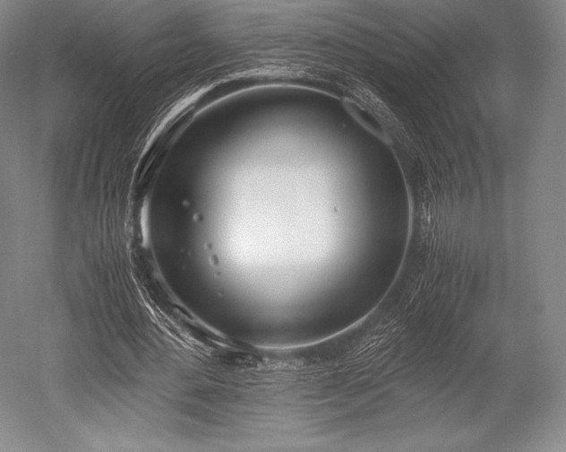 X0000052550484200507081613