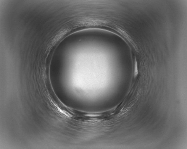 X0000052550485200507081613