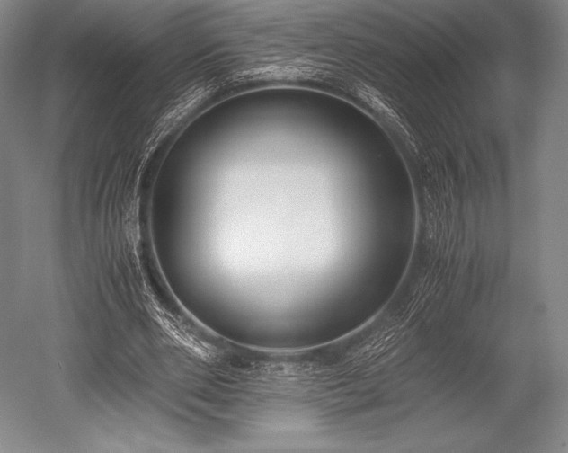 X0000052550486200507081613