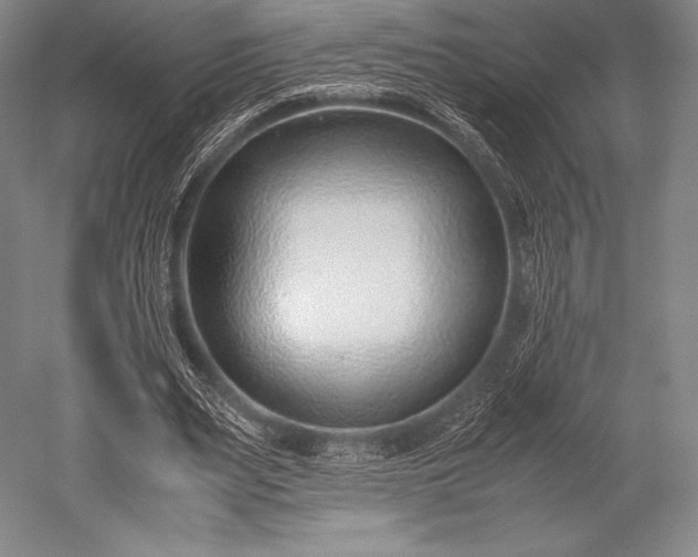 X0000052550487200507081613