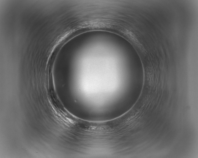 X0000052550488200507081613