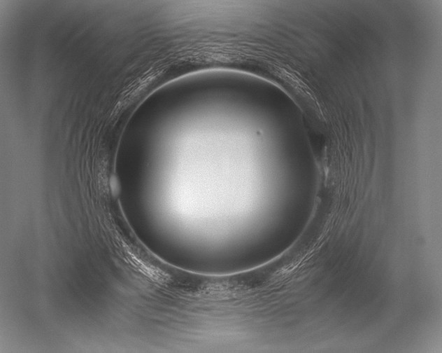 X0000052550489200507081613