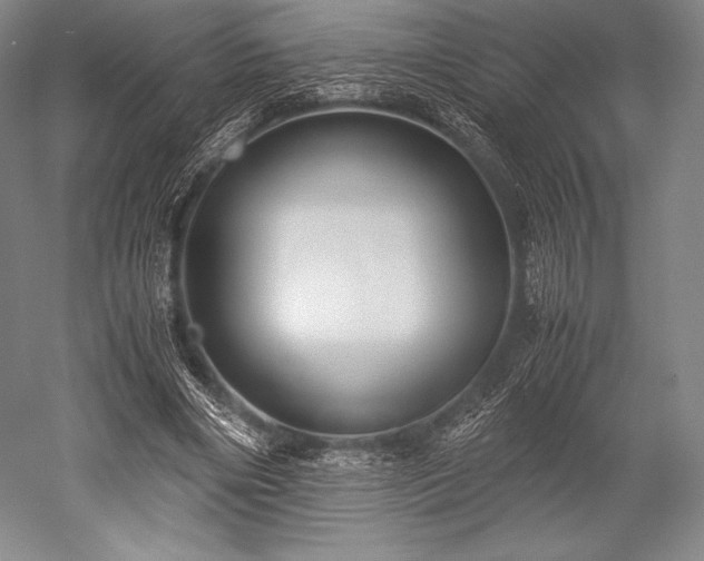 X0000052550490200507081613