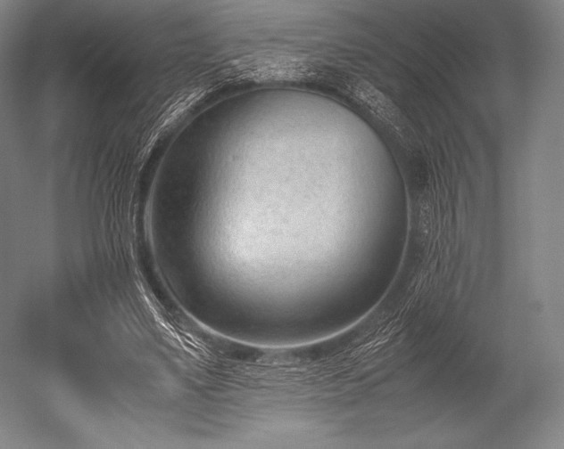 X0000052550491200507081613