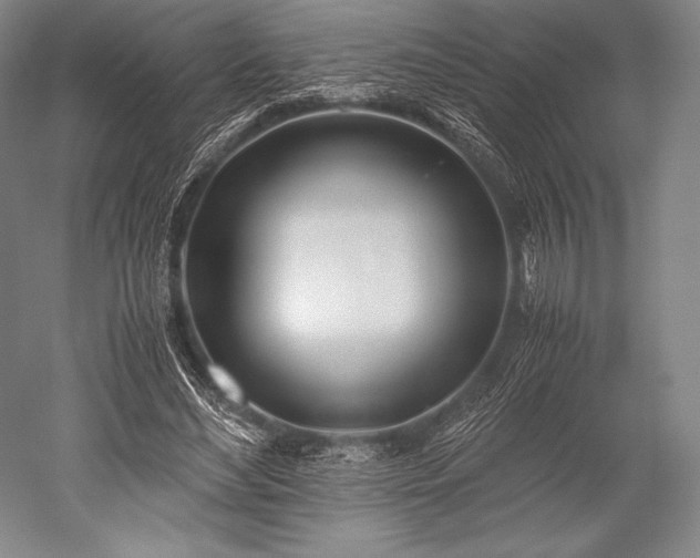 X0000052550492200507081613