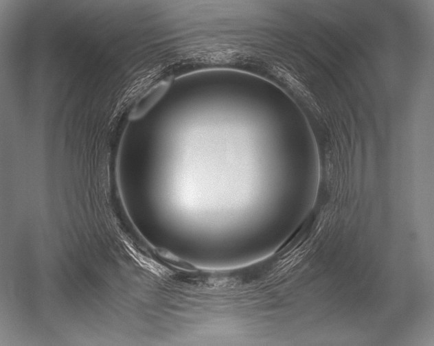 X0000052550493200507081613