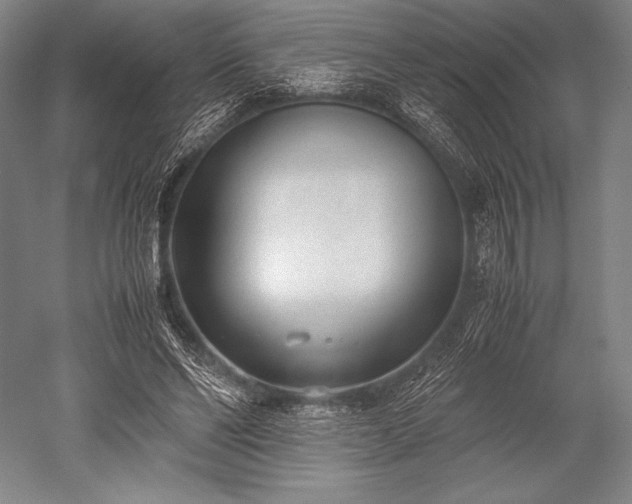 X0000052550494200507081613