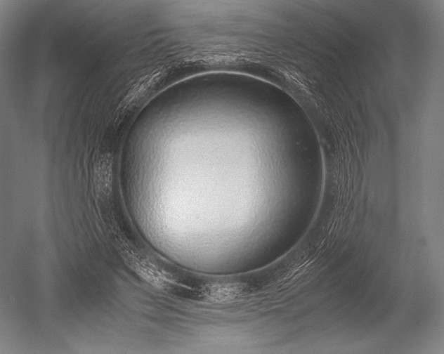 X0000052550495200507081613