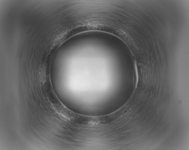 X0000052550496200507081613