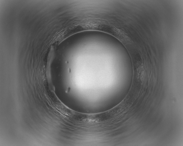 X0000052550498200507081613