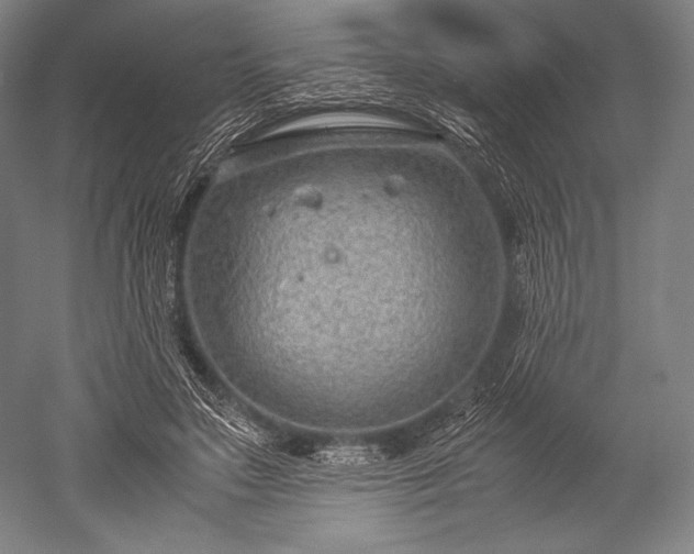 X0000052550499200507081613