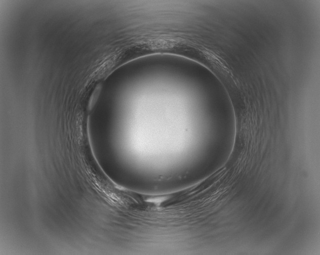 X0000052550501200507081613