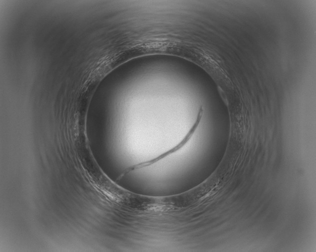 X0000052550504200507081613