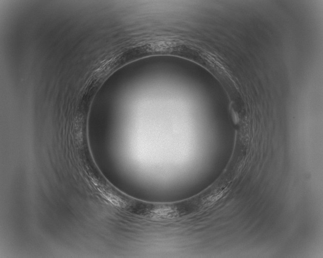 X0000052550505200507081613