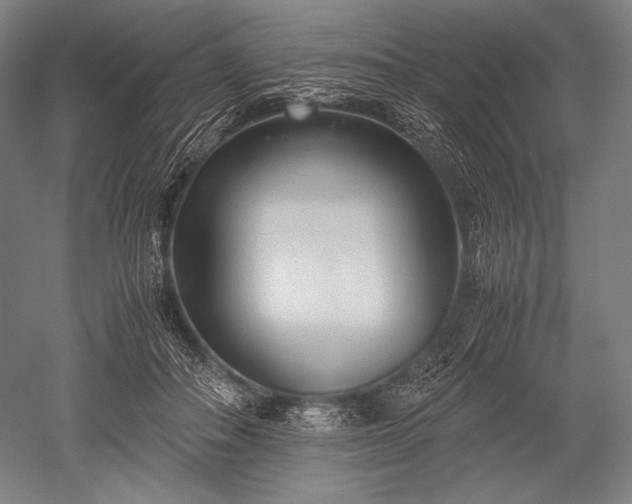 X0000052550506200507081613