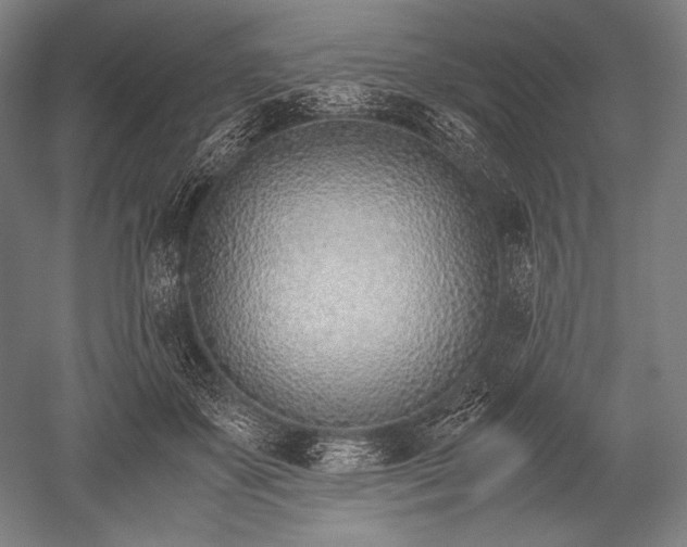 X0000052550507200507081613