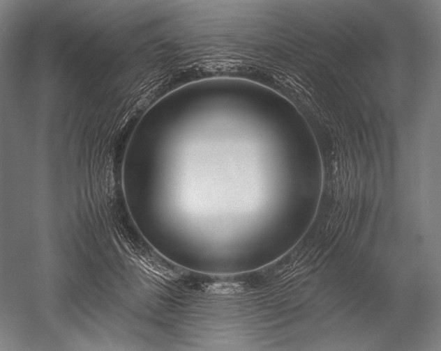 X0000052550508200507081613