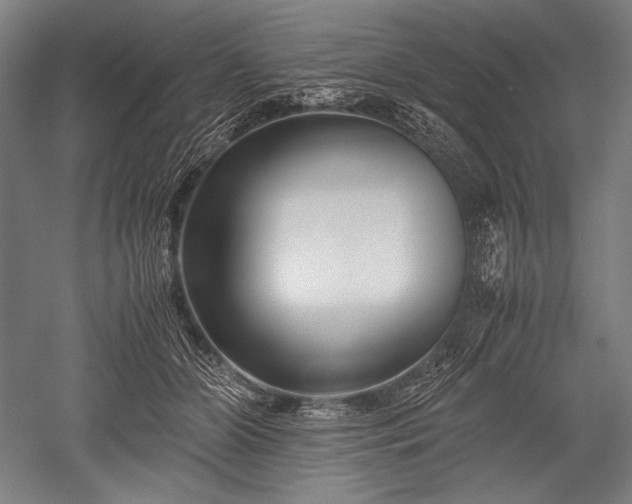 X0000052550510200507081613