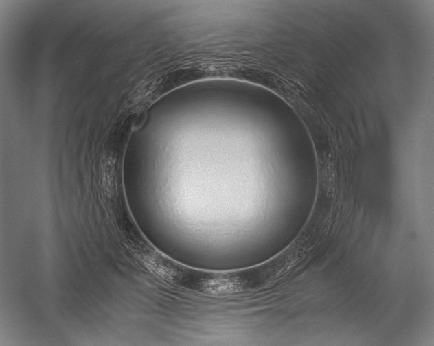 X0000052550511200507081613