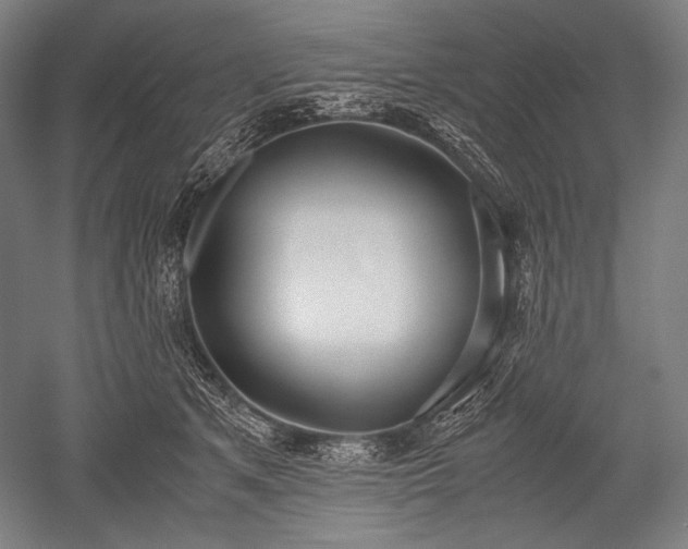 X0000052550513200507081613