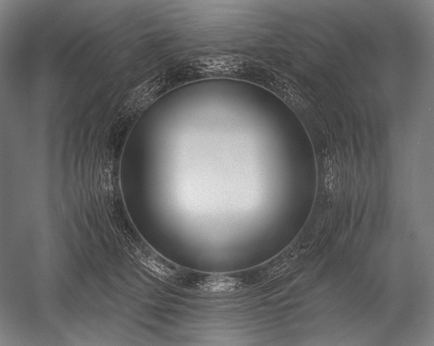 X0000052550514200507081613