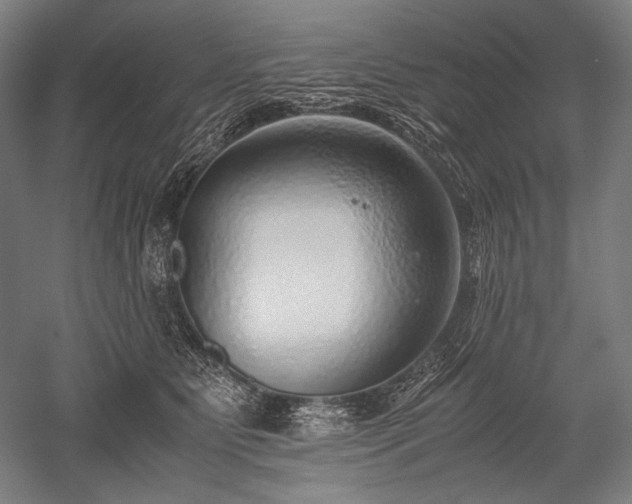 X0000052550515200507081613