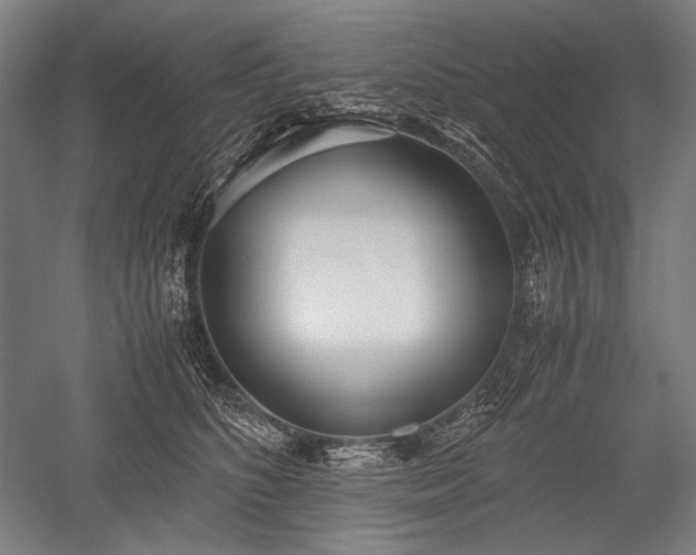 X0000052550516200507081613