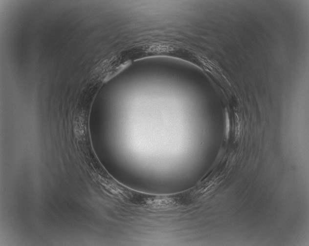 X0000052550517200507081613