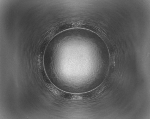 X0000052550519200507081613