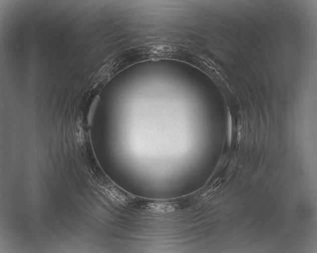 X0000052550520200507081613