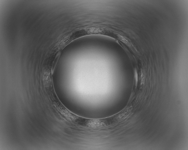 X0000052550521200507081613