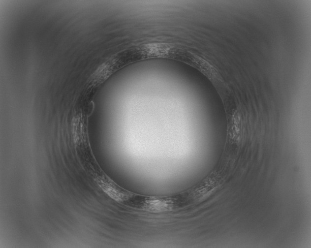 X0000052550522200507081613