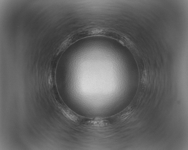 X0000052550524200507081613