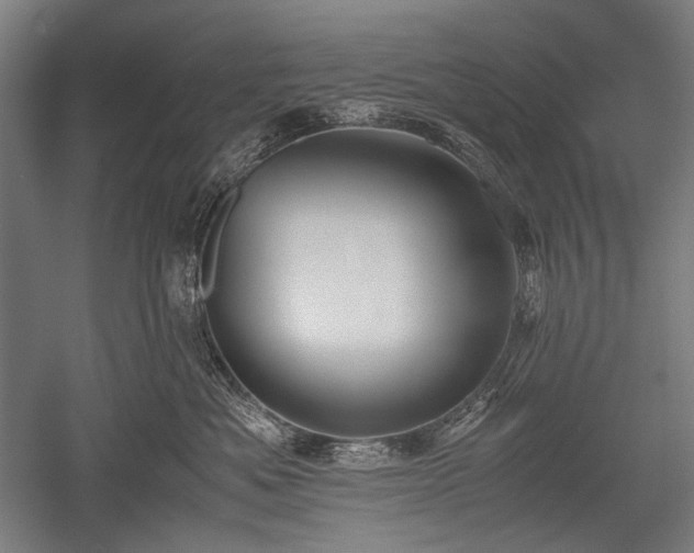 X0000052550525200507081613