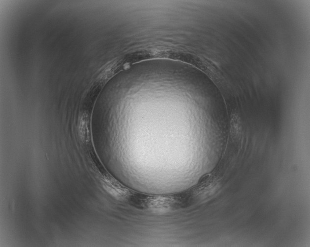 X0000052550527200507081612