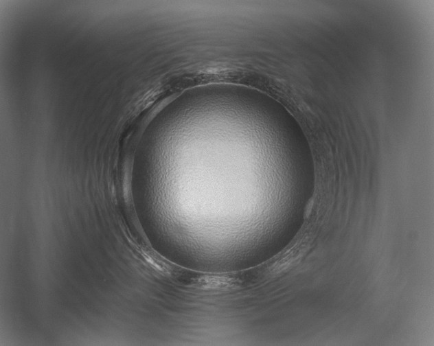 X0000052550528200507081612