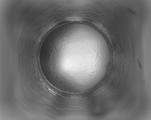 X0000052550529200507081612