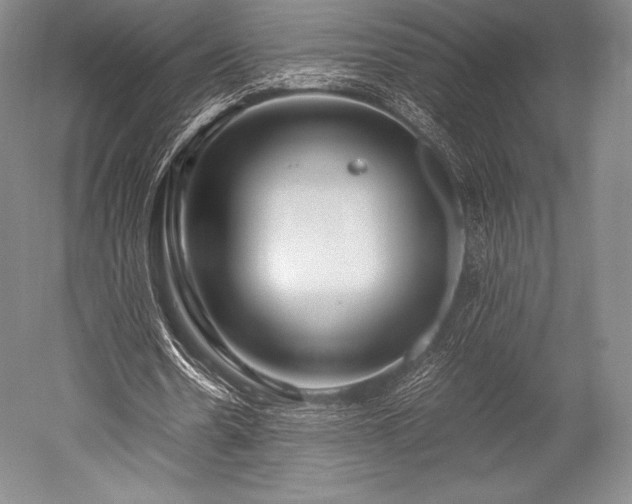 X0000052550530200507081612