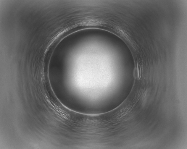 X0000052550531200507081612