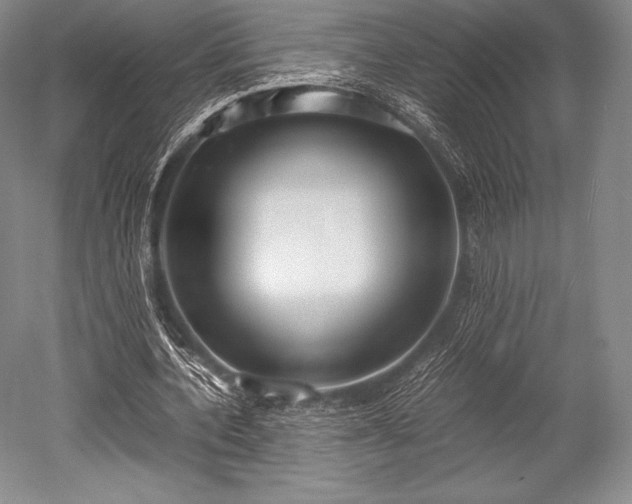 X0000052550532200507081612