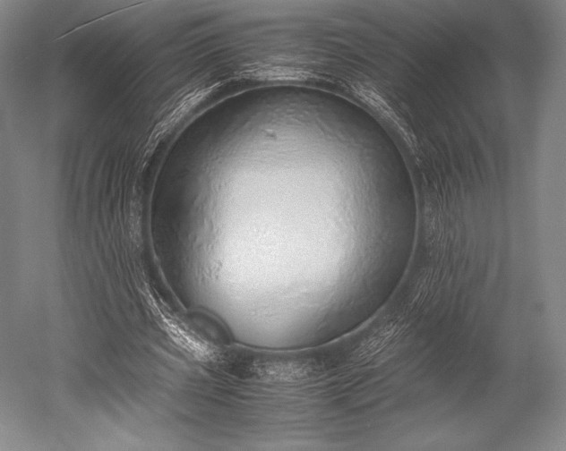 X0000052550533200507081612