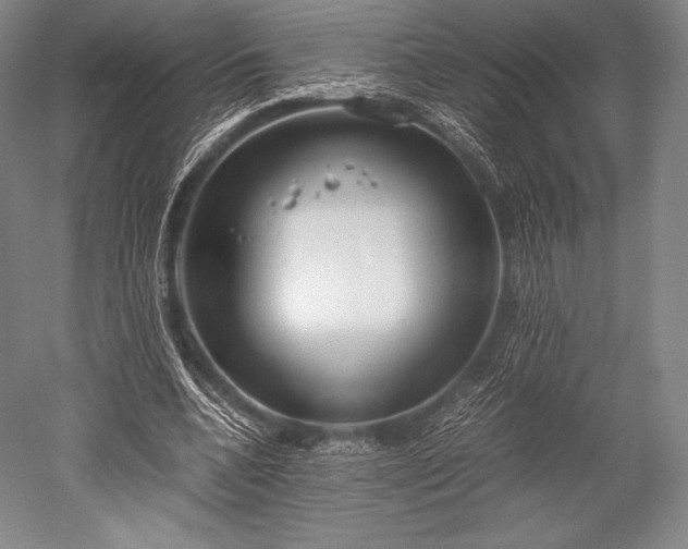 X0000052550536200507081612