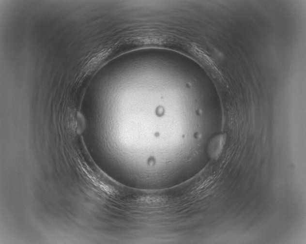 X0000052550537200507081612